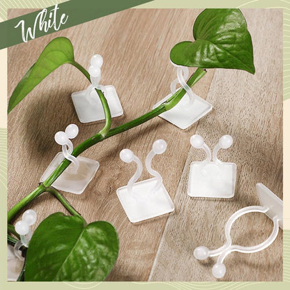 6156 wall Plant Climbing Clip widely used for holding plants and poultry purposes and all. DeoDap