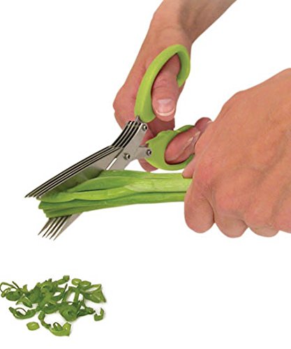 1563A MULTIFUNCTION VEGETABLE STAINLESS STEEL HERBS SCISSOR WITH 5 BLADES