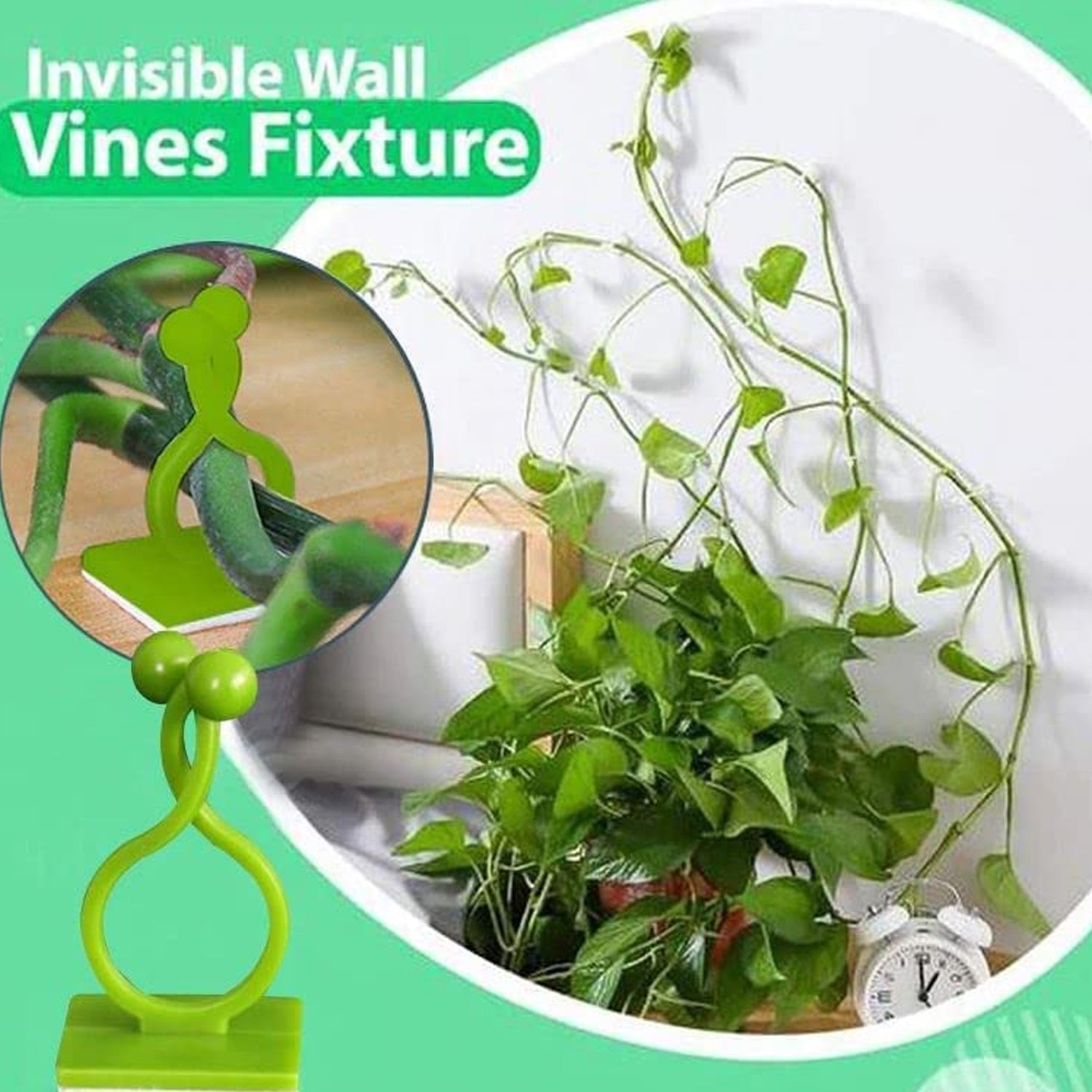 6156A 30pcs wall Plant Climbing Clip widely used for holding plants and poultry purposes and all. DeoDap