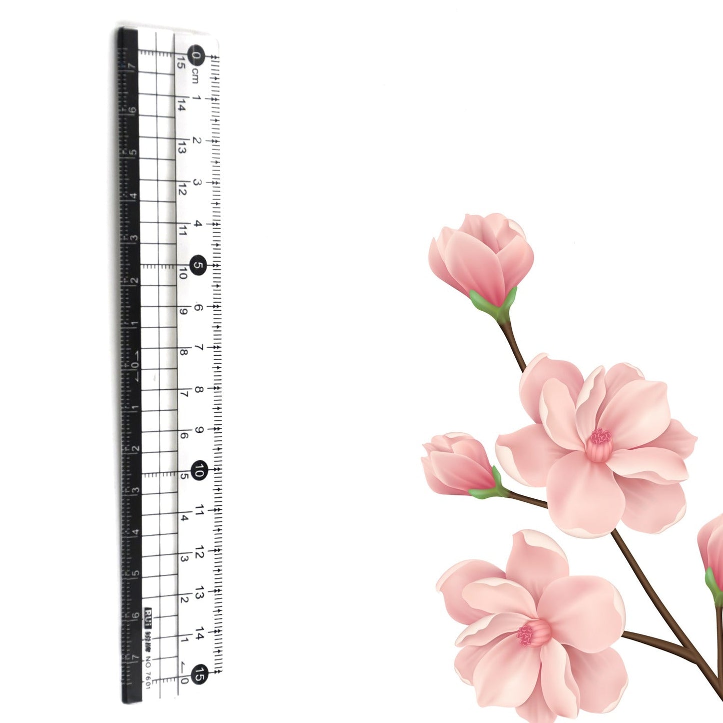 7921  TRANSPARENT RULER, PLASTIC RULERS, FOR SCHOOL CLASSROOM, HOME, OR OFFICE (15 Cm)